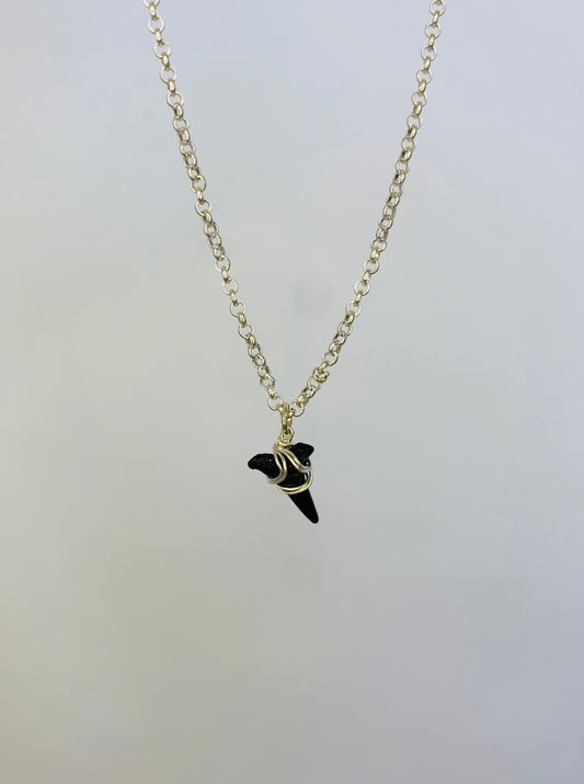 Crooked Shark Tooth on Sterling Chain